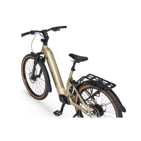Rower elektryczny trekking Ecobike Flex 29 900Wh tyl nowosc rowex